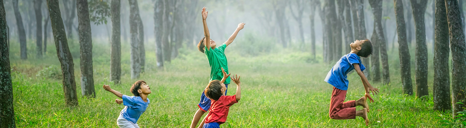Bachelor Executive in Early Childhood Care & Education